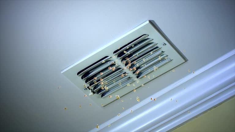 Best Affordable HVAC Duct Cleaning  in Perris, CA