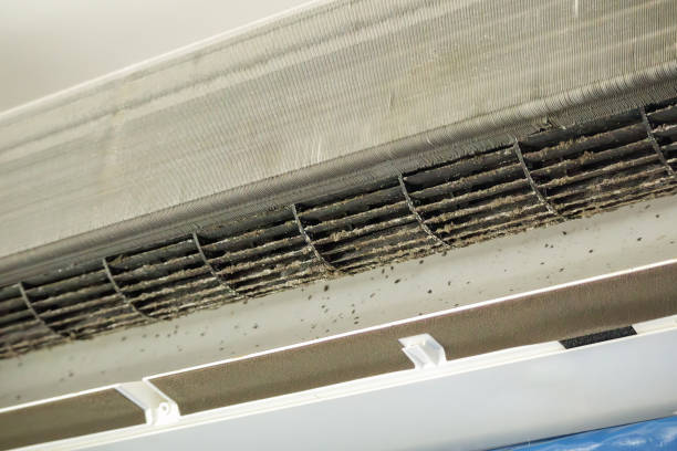 Best HVAC Air Duct Cleaning  in Perris, CA